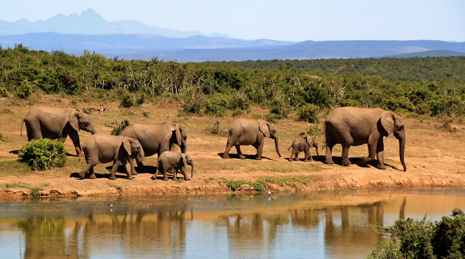 Kenya