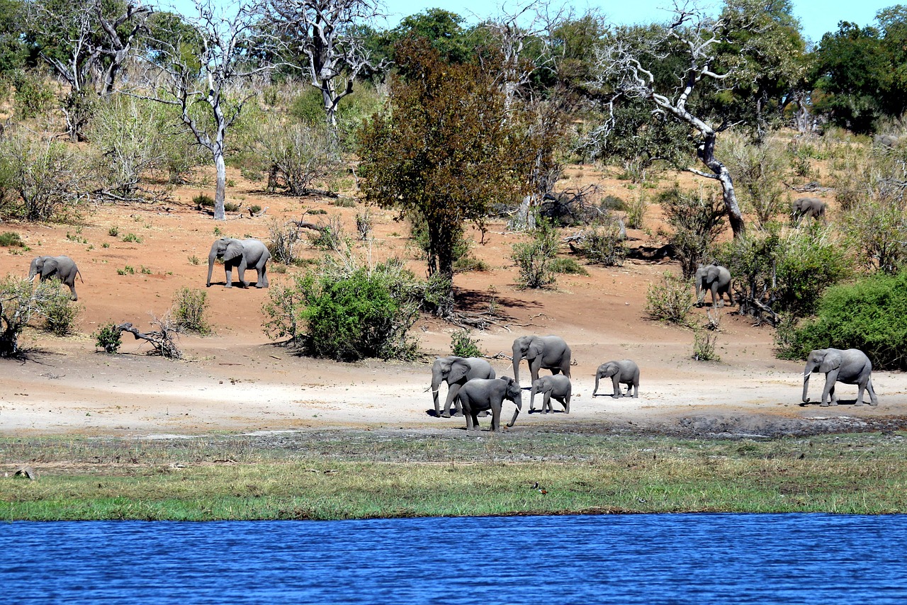 Malawi