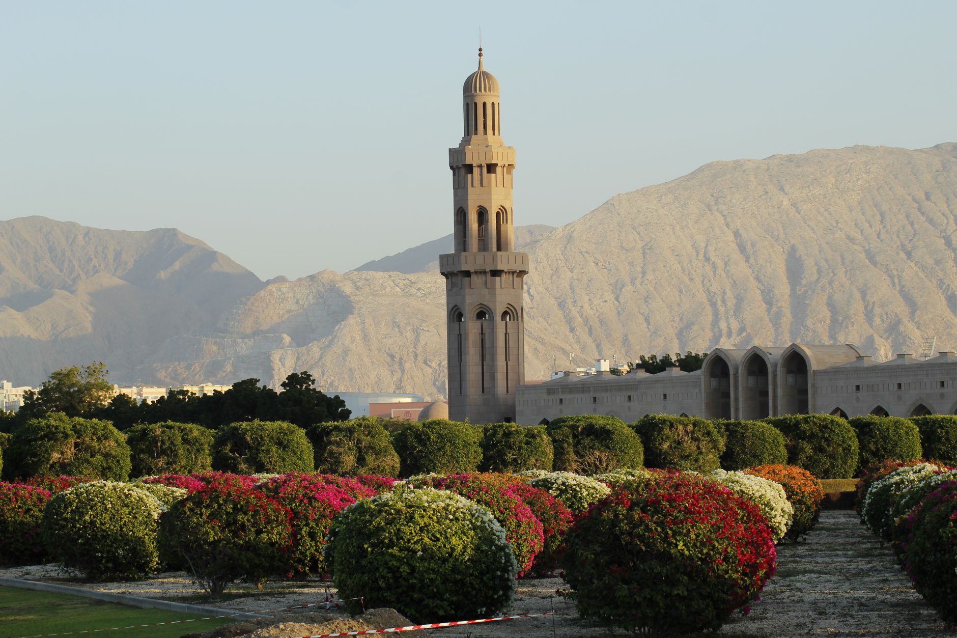 Muscat