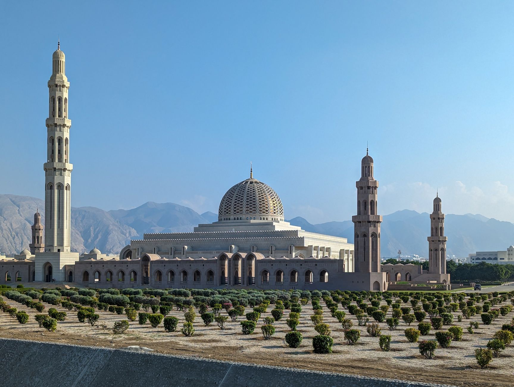 Muscat