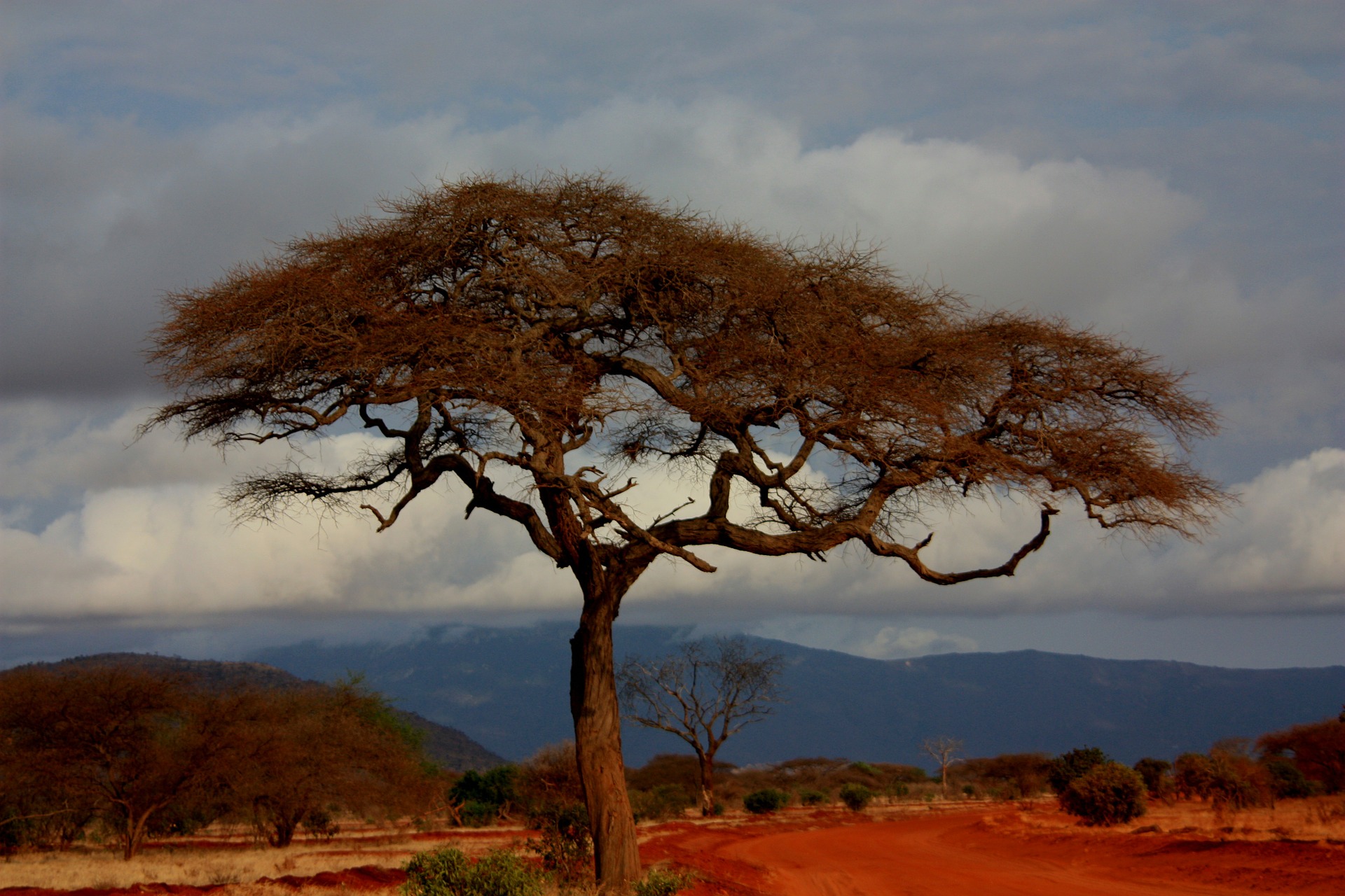 Kenya