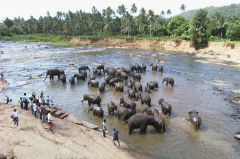 Sri Lanka