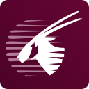 Qatar Airways QR